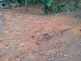 Residential Land for Sale in Kegalle