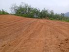 Residential Land for Sale in Kuruwita
