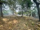 RESIDENTIAL LAND FOR SALE IN MAHARAGAMA