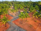Residential Land for Sale in Malsiripura - H03