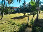 Residential Land for Sale in Malwathuhiripitiya - A3001