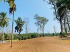 Residential Land for Sale in Matara Kekanadura