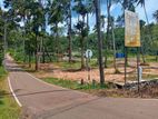 Residential Land for Sale in Mathale Nalanda