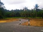 Residential Land for Sale in Meepe
