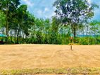 Residential Land for Sale in Meepe