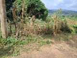 Residential Land for Sale in Megoda Kalugamuwa