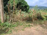 Residential Land for Sale in Megoda Kalugamuwa
