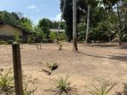 Residential Land for Sale in Naiwala Road, Udugampola