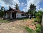 Residential Land for sale in Negombo, Dalupotha - Code LJ026