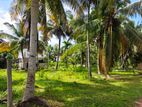 RESIDENTIAL LAND FOR SALE IN NEGOMBO ROAD, JA ELA, WALIGAMPITIYA