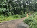Residential Land for Sale in Nelumdeniya