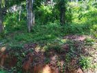 Residential Land for Sale in Nelumdeniya
