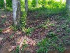 Residential Land for Sale in Nelumdeniya