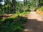 Residential Land for Sale in Nelumdeniya