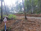 Residential land for sale in Nelundeniya Alawwa Road