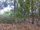 Residential land for sale in Nelundeniya