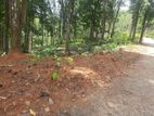 Residential Land for sale in Nelundeniya