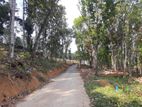 Residential land for sale in Nelundeniya