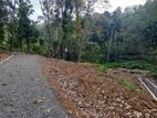 Residential land for sale in Nelundeniya