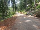Residential land for sale in Nelundeniya
