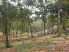 Residential Land for Sale in Nelundeniya