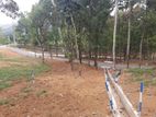 Residential Land for Sale in Nelundeniya