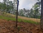 Residential land for sale in Nelundeniya