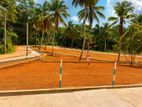 Residential Land for Sale in Nittambuwa Walgammulla - M02