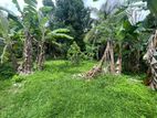 Residential Land For Sale In Nugegoda