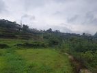 Residential Land for Sale in Nuwaraeliya