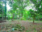 Residential Land for Sale in Panadura