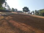 Residential land for sale in Panadura Gorakana C33