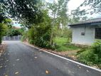 RESIDENTIAL LAND FOR SALE IN PANNIPITIYA