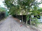 Residential Land for Sale in Pannipitiya