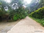 Residential land for sale in Pannipitiya high level road