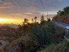 Residential Land for Sale in Panwilathenna