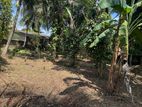 Residential Land for Sale in Piliyandala