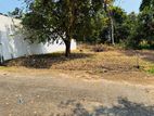 Residential Land for Sale in Piliyandala Suwarapola