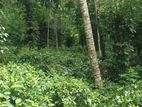 Residential Land for Sale in Pindeniya,