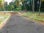 Residential Land for Sale in Polgahawela D01