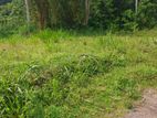 Residential Land for Sale in Polgahawela Ibulgasdeniya