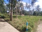 Residential land for sale in Polgahawela, Imbulgasdeniya