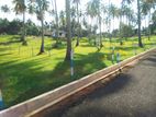 Residential Land for Sale in Polgahawela U03