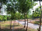 Residential Land for sale in Ragama