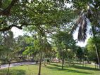 Residential Land for sale in Ragama