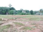 Residential Land for Sale in Raigama