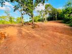 Residential Land for Sale in Rekawa, Tangalle