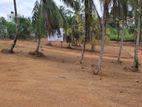 Residential Land for Sale in Rilawala Mattegoda