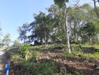 Residential Land for sale in Sinharagama