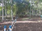 Residential land for sale in Sinharagama